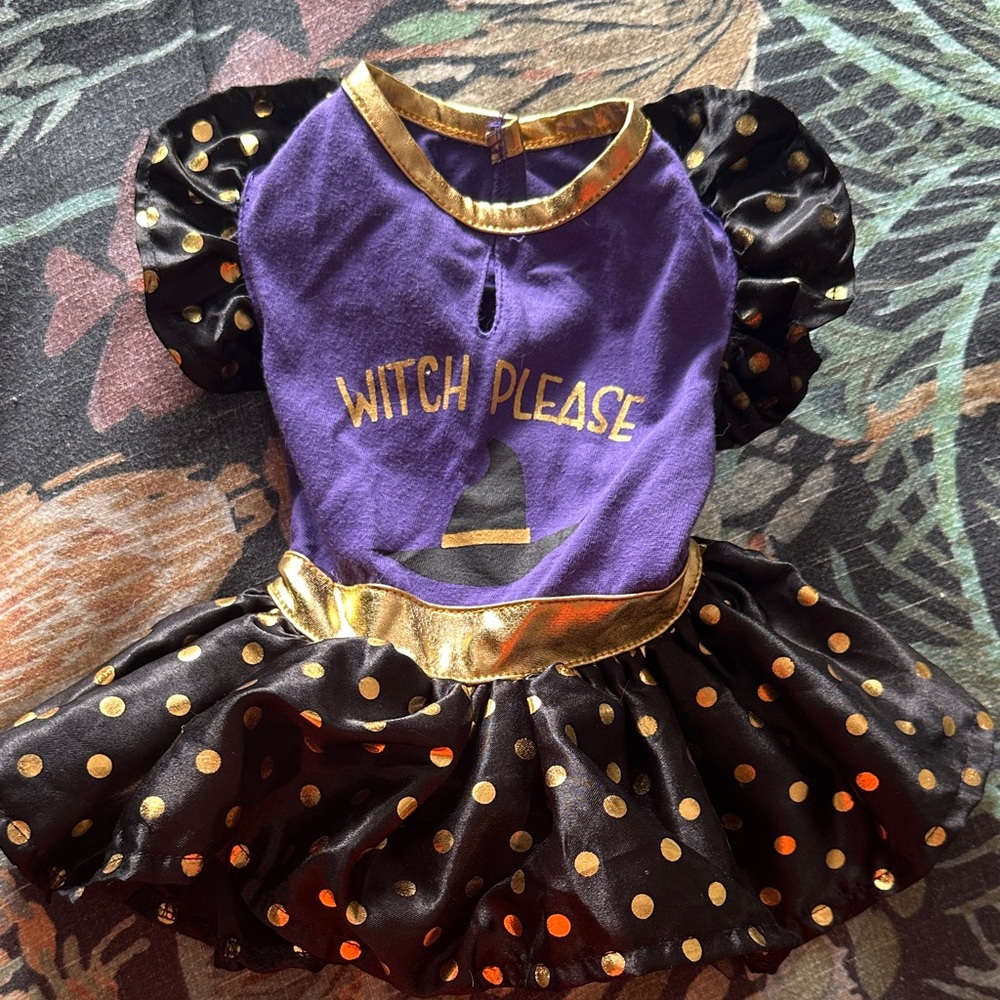 Purple and Gold Witch Costume for Dog